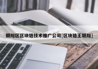 朝阳区区块链技术推广公司[区块链王朝阳]